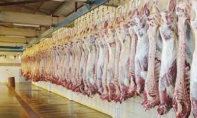 Este año se proyecta  12.000 toneladas de pollo y carne/Foto. RRSS