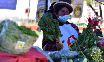 “Día Nacional del Consumo de Alimentos Ecológicos”