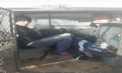 Extranjeros querían sobornar a la policía. 