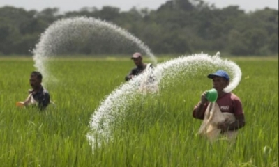 La autoridad dijo que se prevé que ese fertilizante, que contará con Potasio y Fósforo