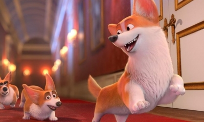 Corgi ya está en los cines/Foto. RRSS