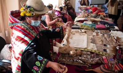 Programa de Fortalecimiento Integral del Complejo de Camélidos en el Altiplano (Pro-Camélidos)