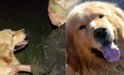 Gladys Peralta ofreció regalar su auto a la persona que le devuelva su perro. Foto: RRSS