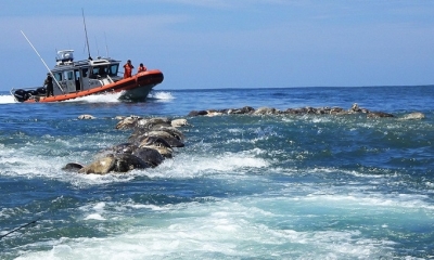 Un barco de la Marina de México se aproxima al lugar donde fueron halladas las tortugas muertas. Oaxaca, México