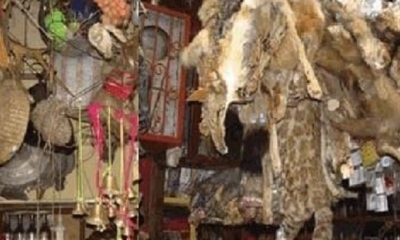 El decomiso se realizó en la ruta folklórica de Quillacollo/Foto. RRSS