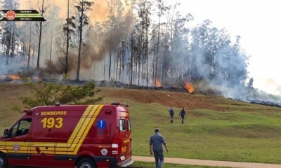 Avión se estrelló en un área forestal en Sao Paulo. 
