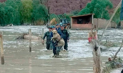 IMAGEN REFERENCIAL/ Foto. RRSS