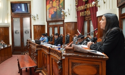 La presidenta de la Cámara de Diputados, Gabriela Montaño