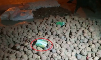 Introducían la droga en papa/Foto. RRSS