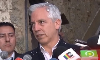 Álvaro García Linera/Foto. Vicepresidente