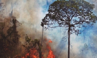 Los incendios devastan la Amazonia en Brasil. Foto:AFP