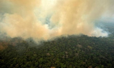 La protección de la Amazonía nos implica a todos | Fuente: EFE