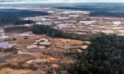 La Amazonía perdió un área equivalente a Chile en 36 años 