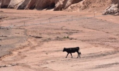 Imagen referencial. Foto: Correo del Sur