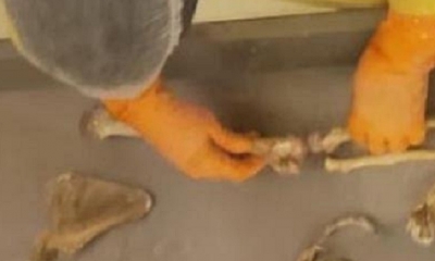 El cuerpo fue hallado cerca de otro cadaver/Foto. LT