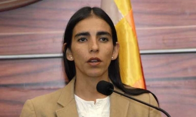 La presidenta de la Cámara de Diputados, Gabriela Montaño