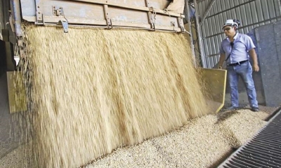 El precio de la soya subió el valor de las exportaciones 