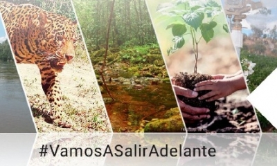 Mujer acusada por el delito de tenencia y tráfico ilegal de especies silvestres.