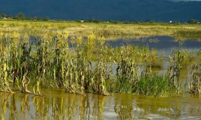 Un campo de cultivo inundado tras las lluvias en el departamento de Cochabamba.