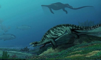 La tortuga Eorhynchochelys sinensis
