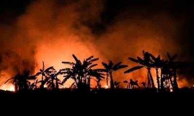 Los incendios de agosto en Brasil son los peores registrados para este mes de los últimos diez años. | Fuente: EFE