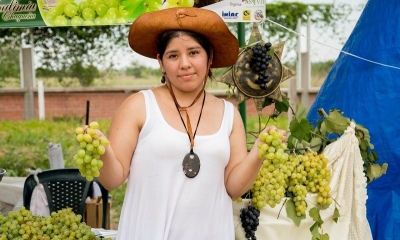 Productores Vitícolas