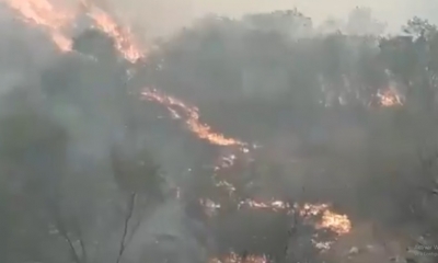 El fuego es incontrolable/Foto. ABI