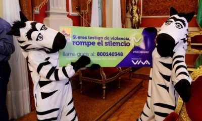 Así serán los mensajes/Foto. RB
