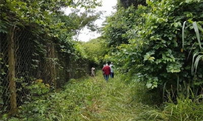 Avasalladores en el Jardín Botánico