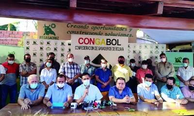 Los ganaderos rechazan acuerdo Gobierno con carniceros. Foto: Fegasacruz.