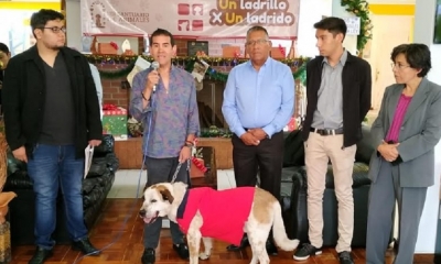 Los gestores de la iniciativa/Foto. RB