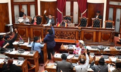 El MAS otra vez ha hecho una maniobra y un abusó de su rodillo parlamentario