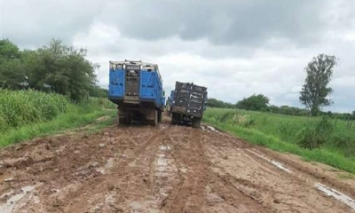 El mal estado de las carreteras complica el traslado de ganado 