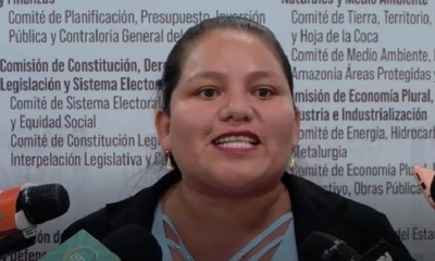 La diputada Deysi Choque. Foto archivo