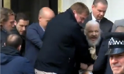 Así se llevaron a Julian Assange/Foto. Captura de pantalla