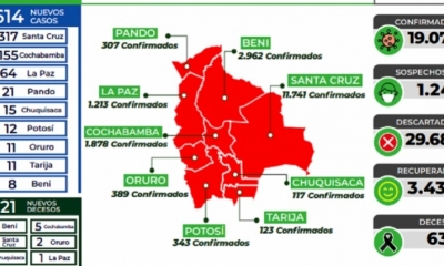 Los últimos datos del Ministerio de Salud. 