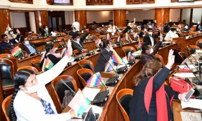 El pleno de Diputados. | Foto: @Diputados_Bol