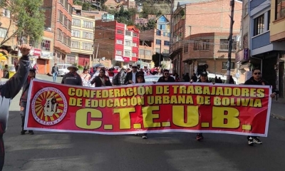 Imagen Referencial
