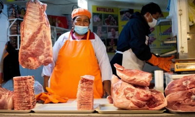 Suministro de carne de pollo, cerdo, vaca, cordero y pescado para Navidad y Año Nuevo